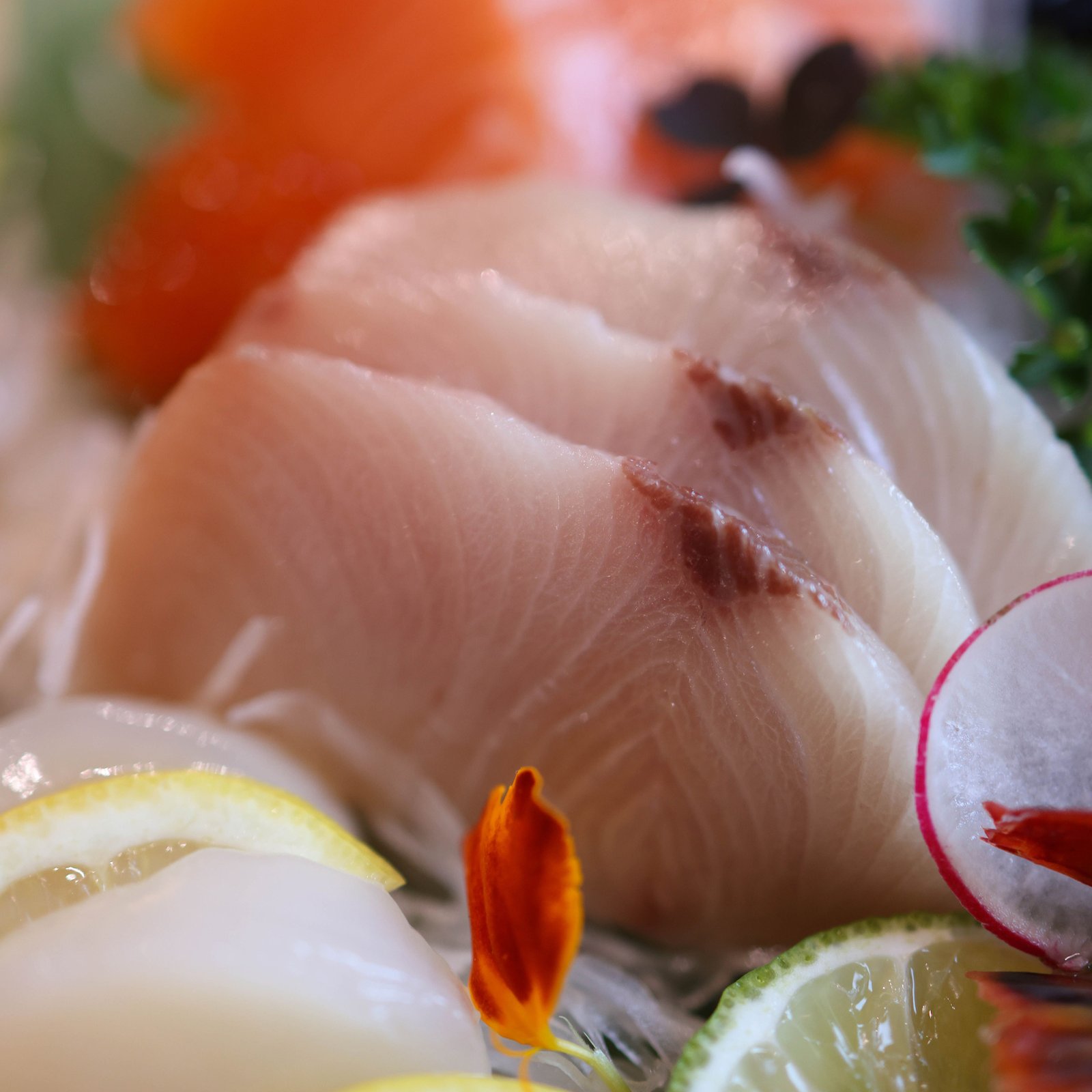 Sashimi: seriola